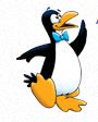 logos les pingouins castins partenaires Osélo